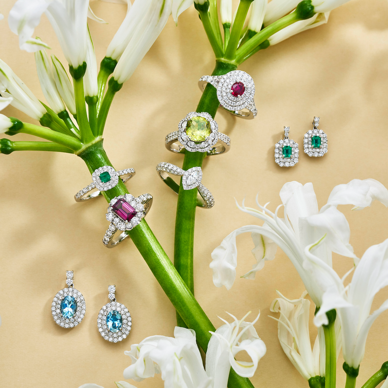 --終了しました--【1/27~2/5】希少な一点ものを数量&期間限定で販売いたします✨