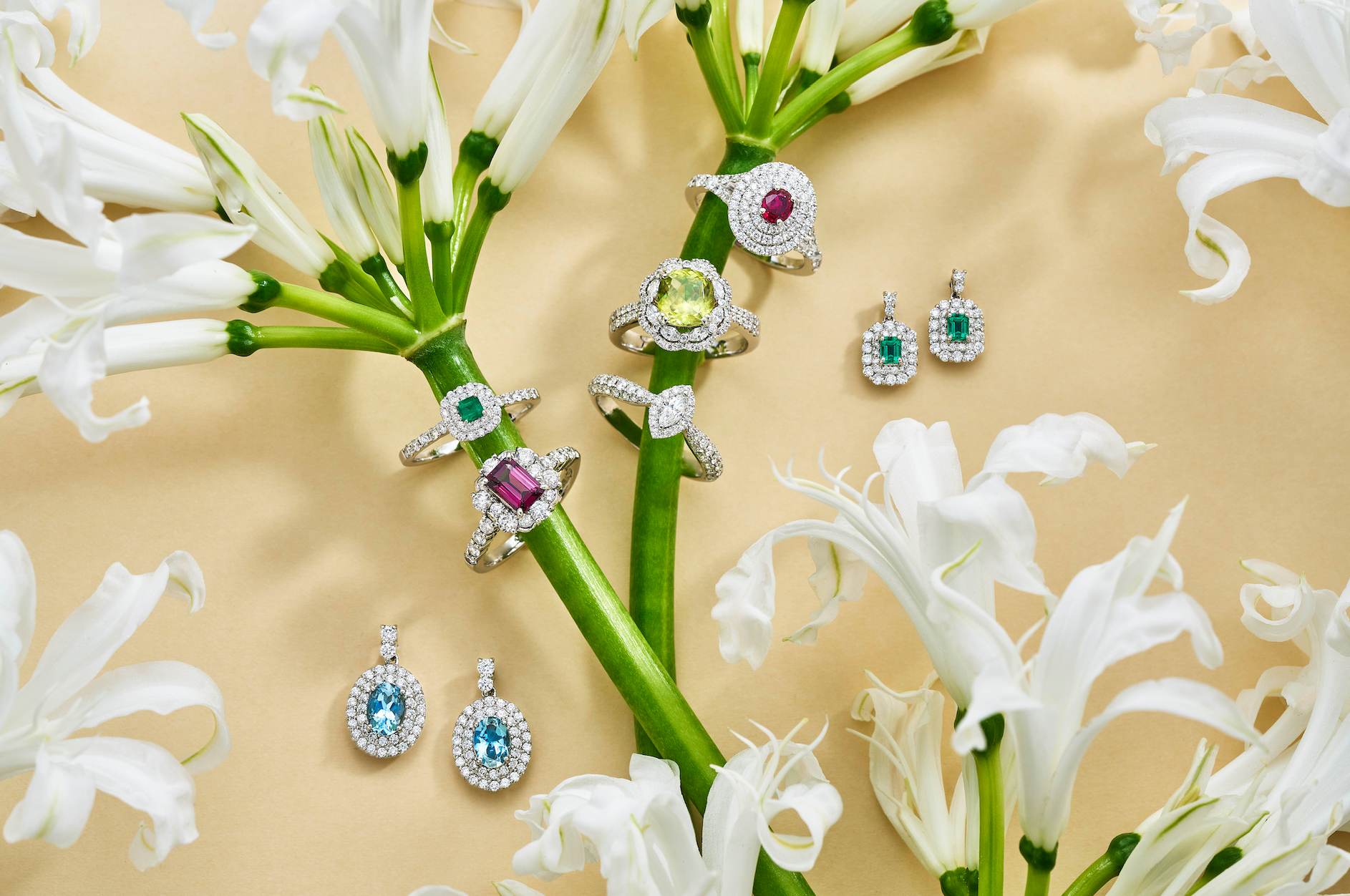 【1/27~2/5】希少な一点ものを数量&期間限定で販売いたします✨