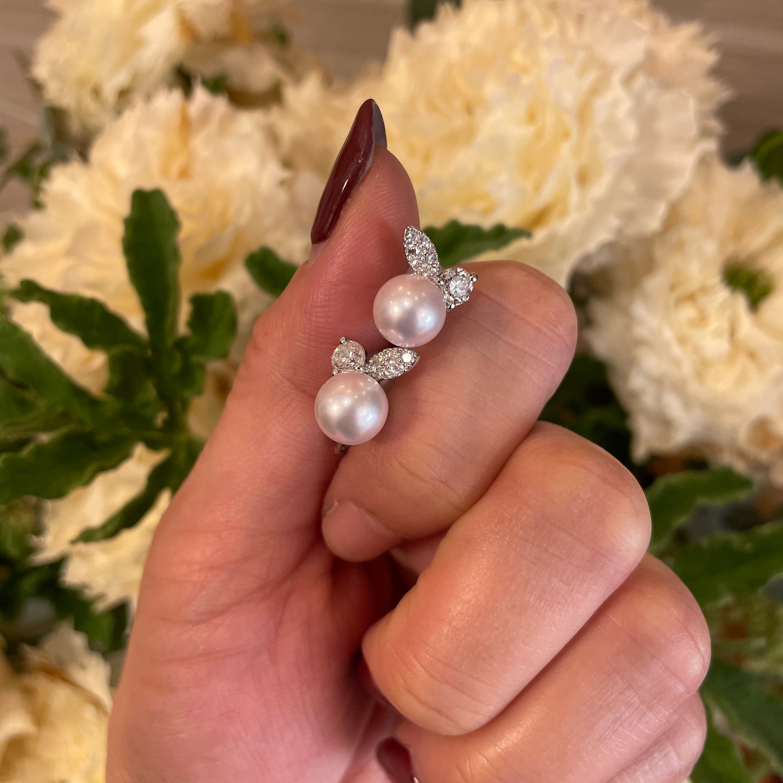 ラパン ピアス|A Jewelry Box 公式通販サイト