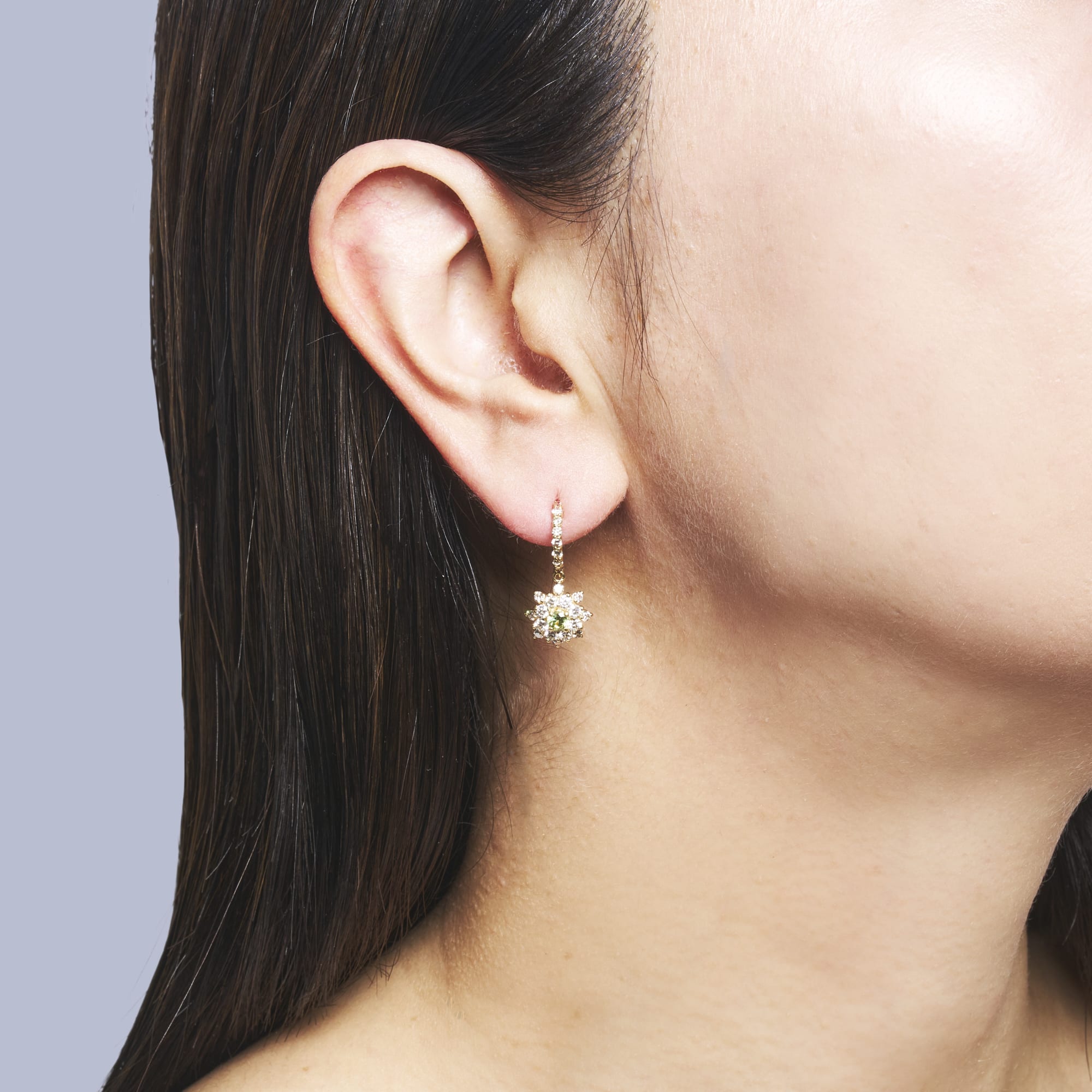 OVデマントイドガーネット揺れるピアス|A Jewelry Box 公式通販サイト