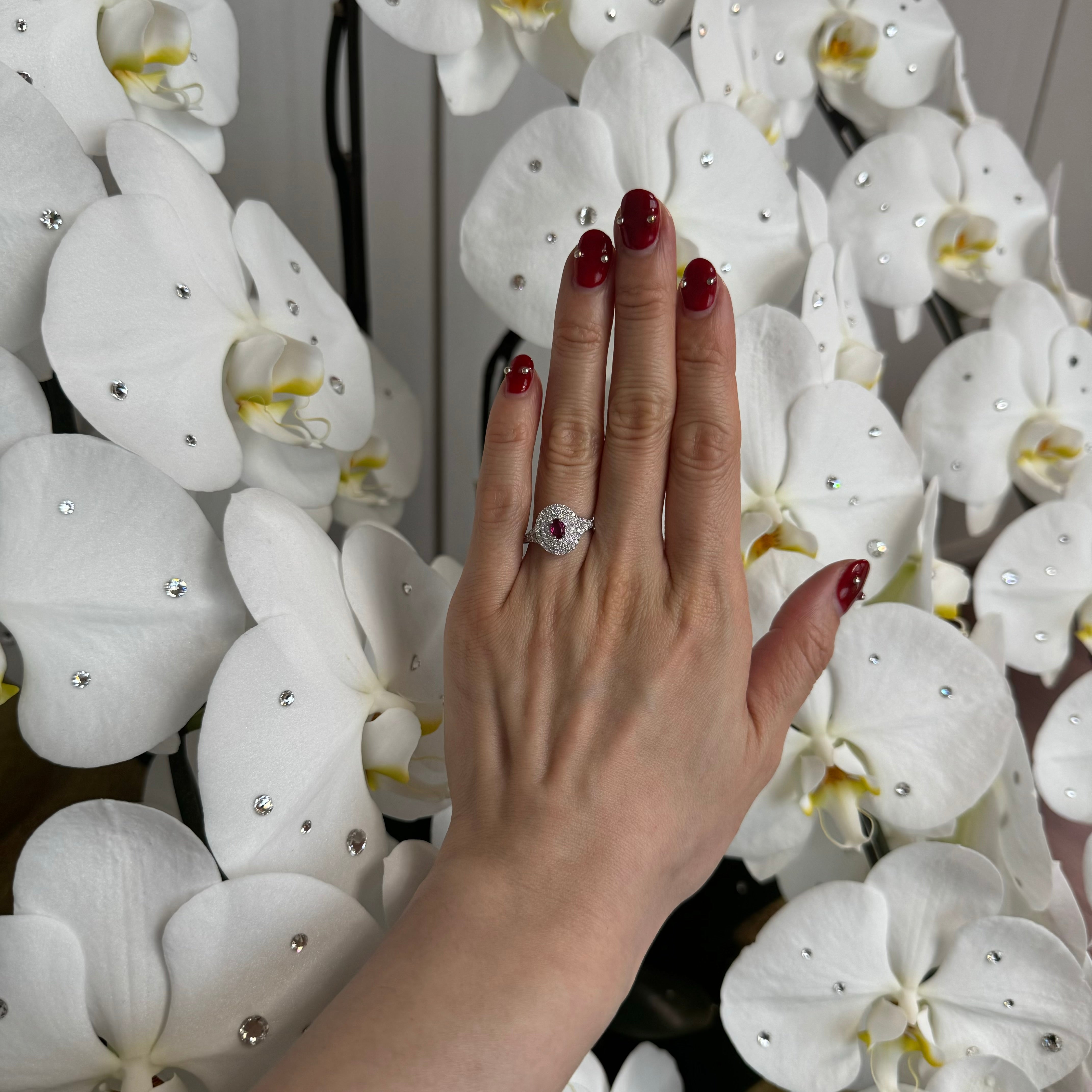 希少 ルビー 中石0.34CT前後 OV PT リング〜NO HEAT AIGS|A Jewelry Box 公式通販サイト