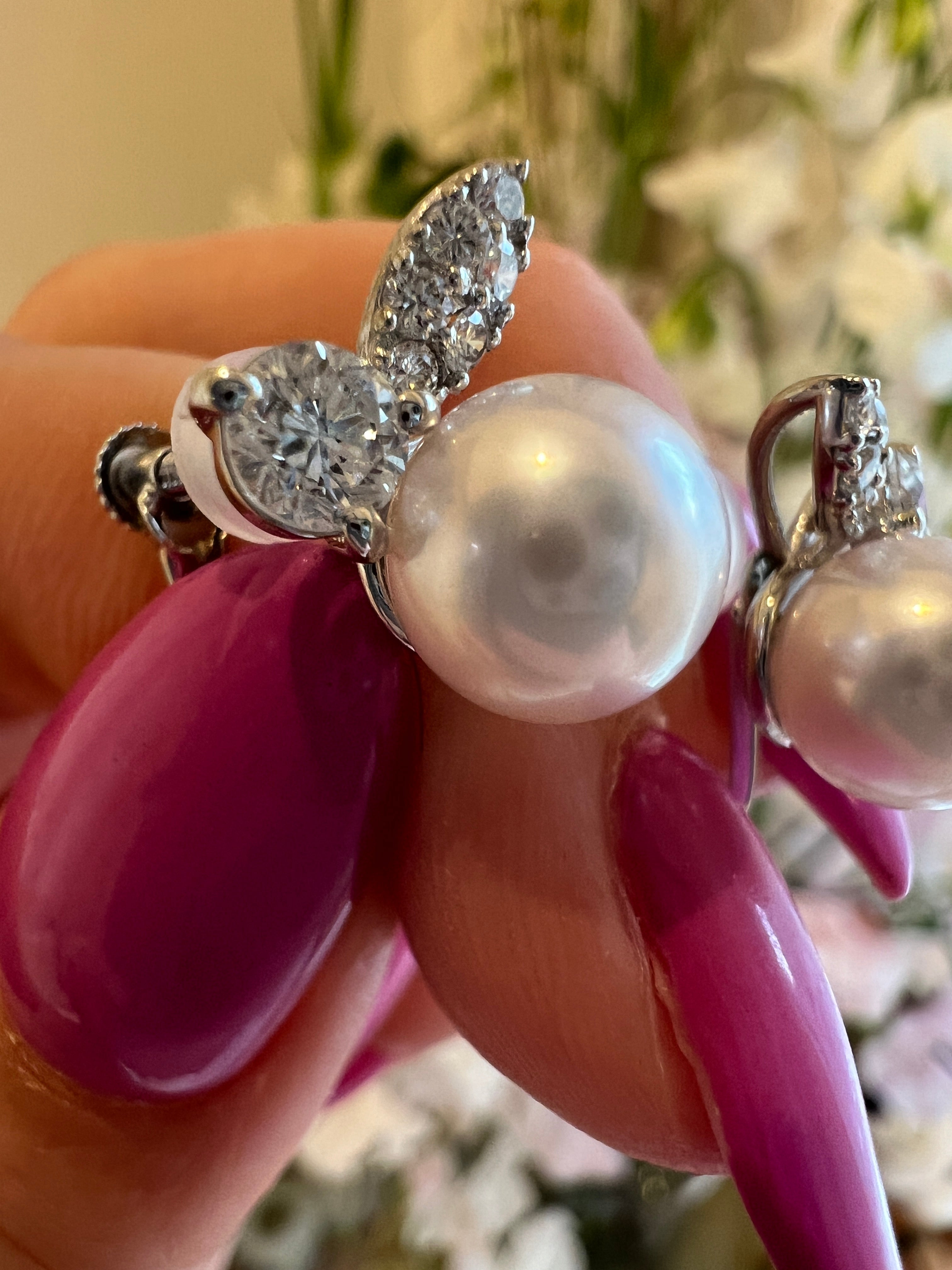 ラパン ピアス|A Jewelry Box 公式通販サイト