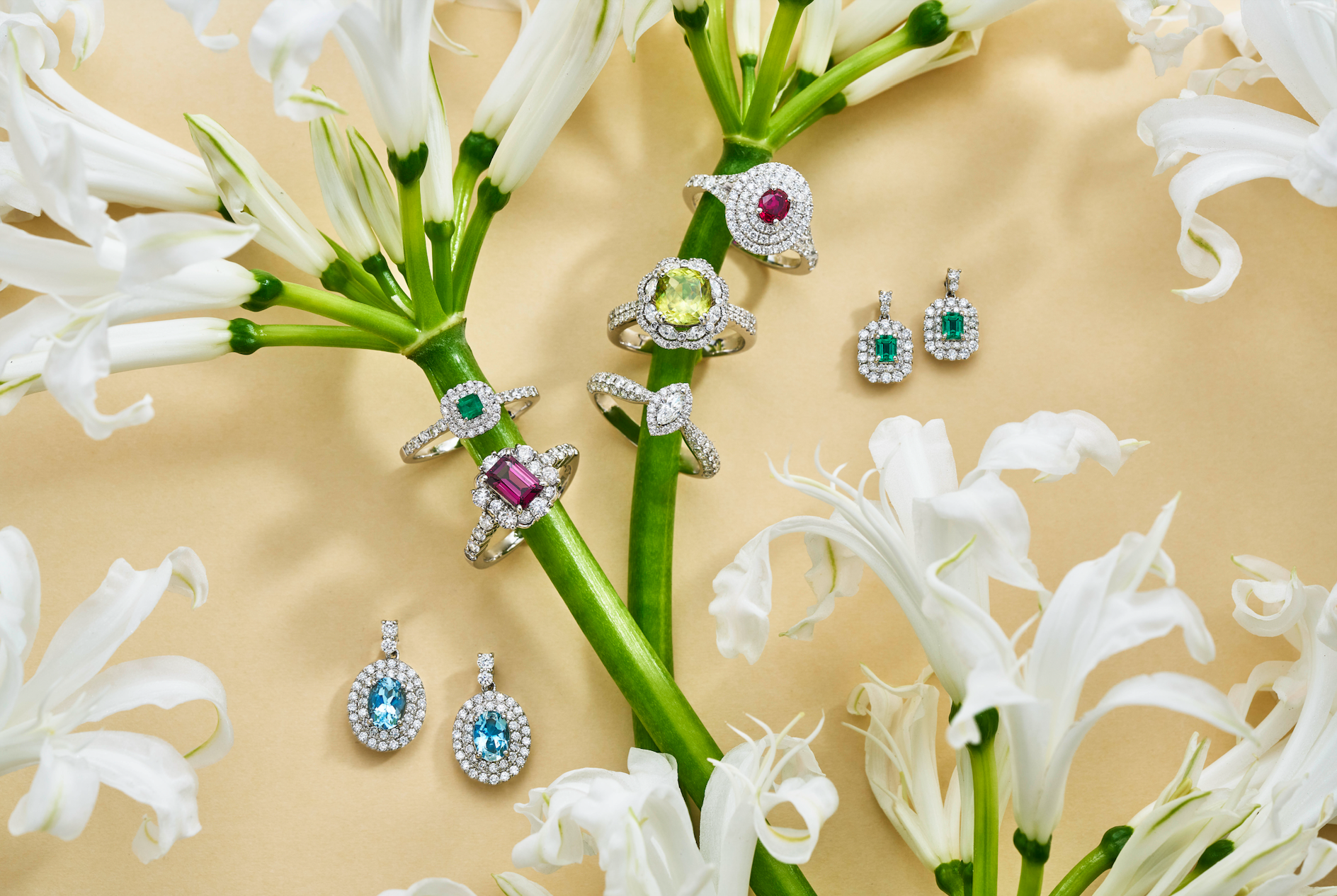 2万円割引💎お年玉企画】12/26〜1/4まで！感謝の気持ちを込めた