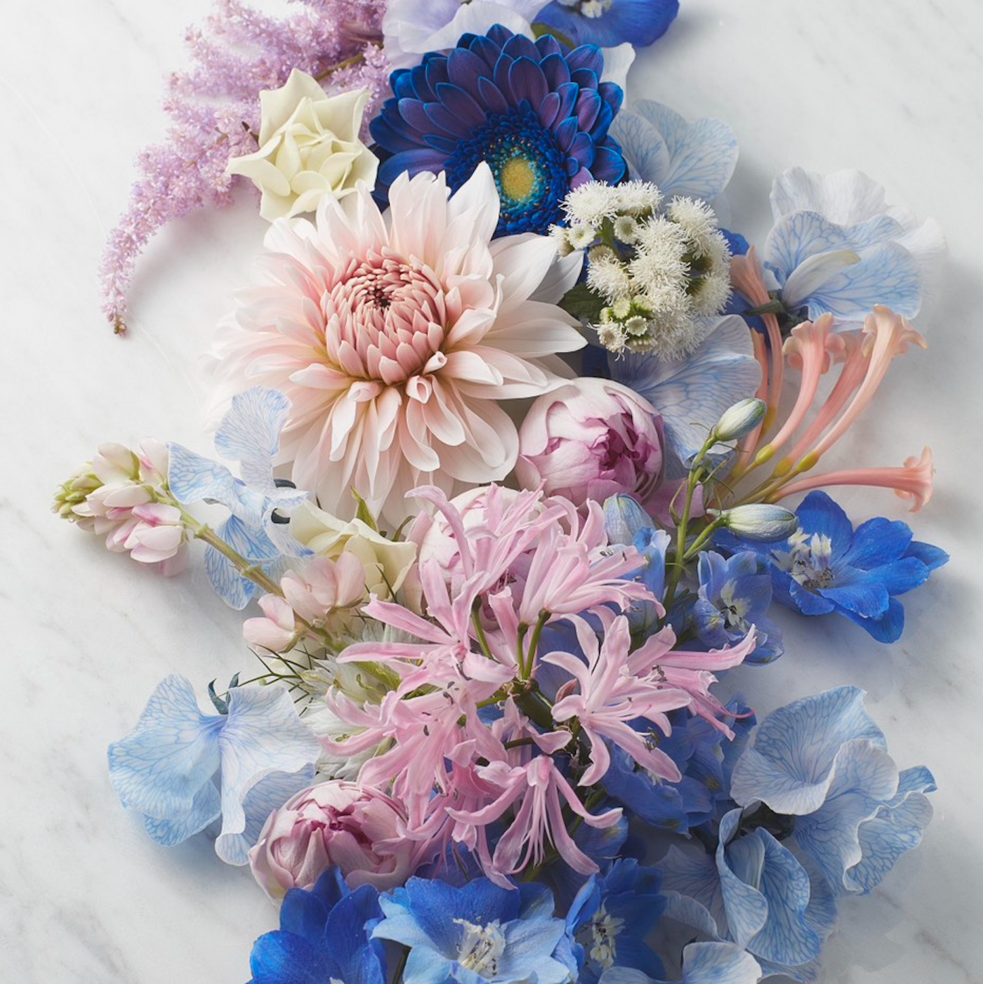 【4/23 14:00〜】50の質問に回答＆新作発表インスタライブ💎ぜひお見逃しなく！