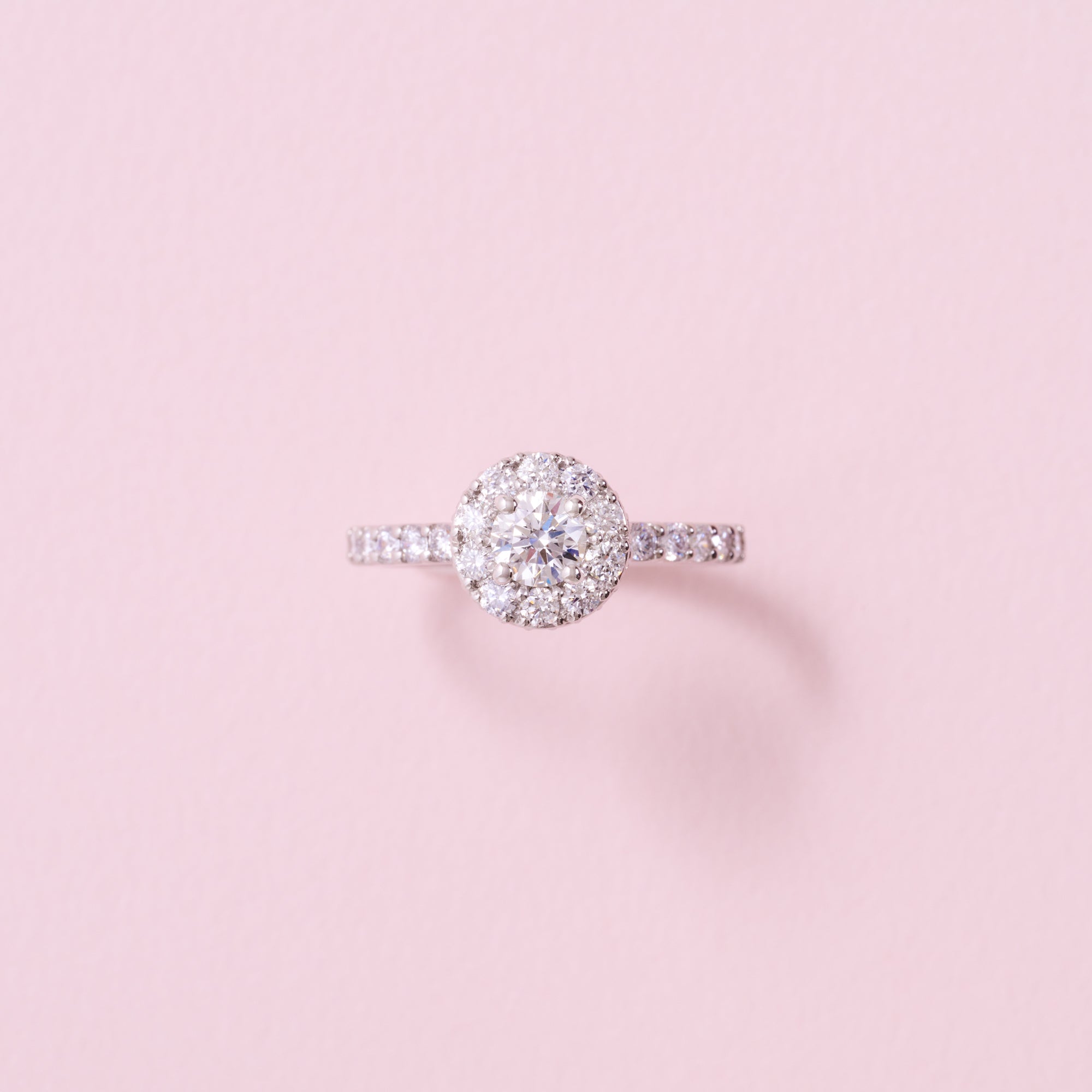 中石0.3ポインターシリーズパヴェリング｜A Jewelry Box 公式通販サイト