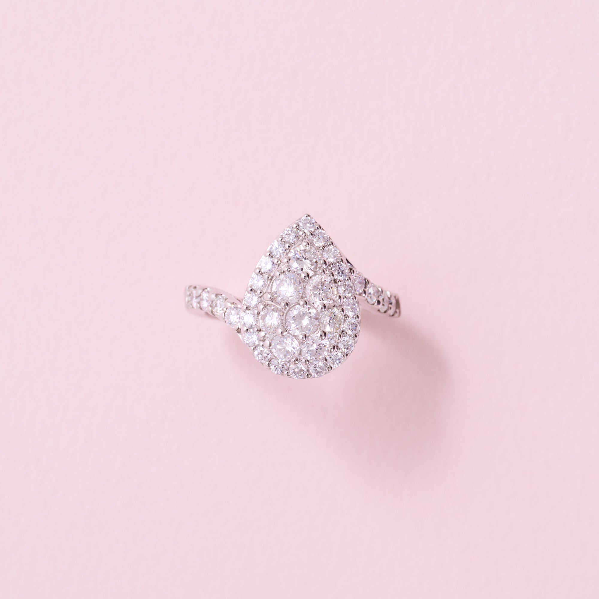 ひよこ クレオパトラリング｜A Jewelry Box 公式通販サイト