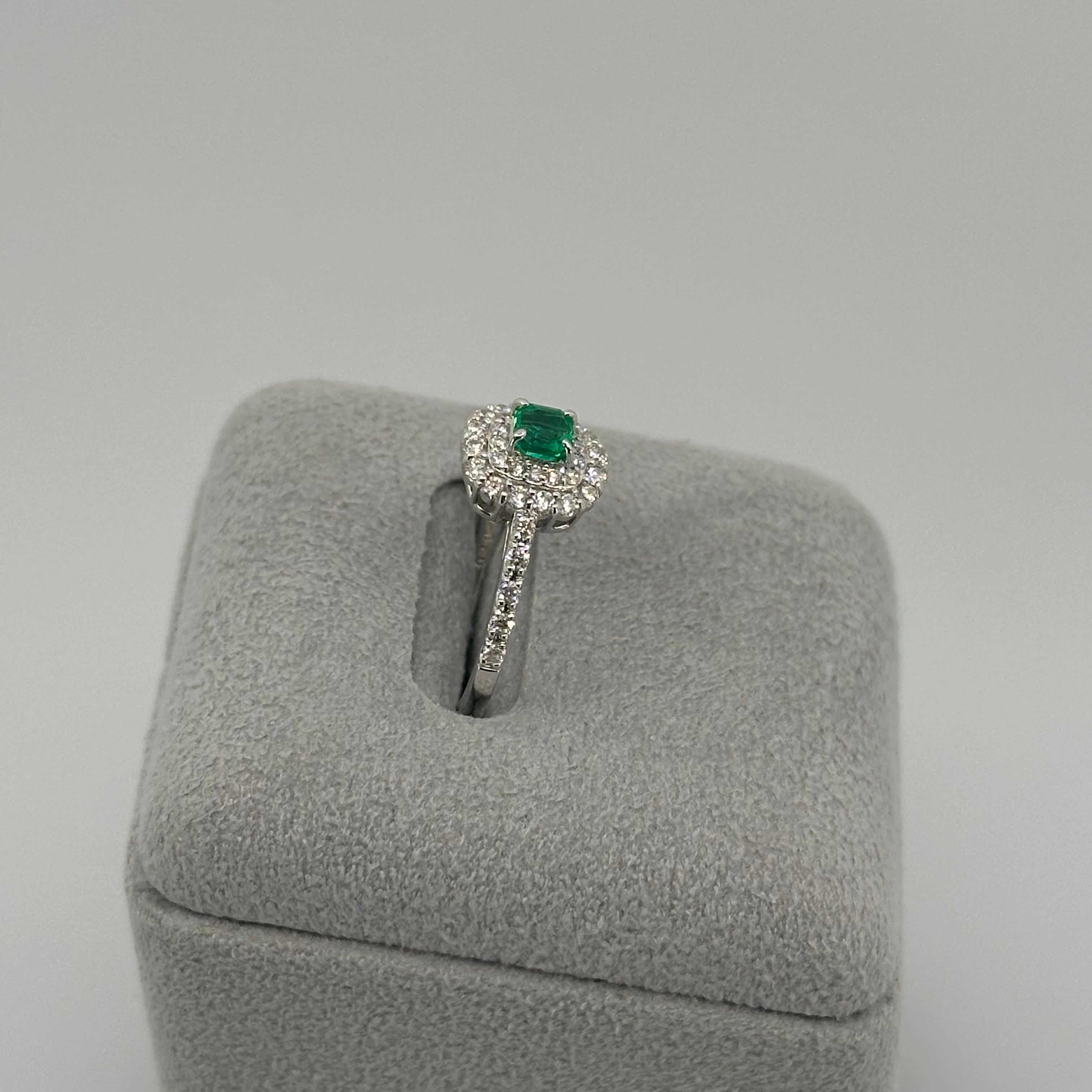 ［新作/1点限定］リング　エメラルド EM PT　11