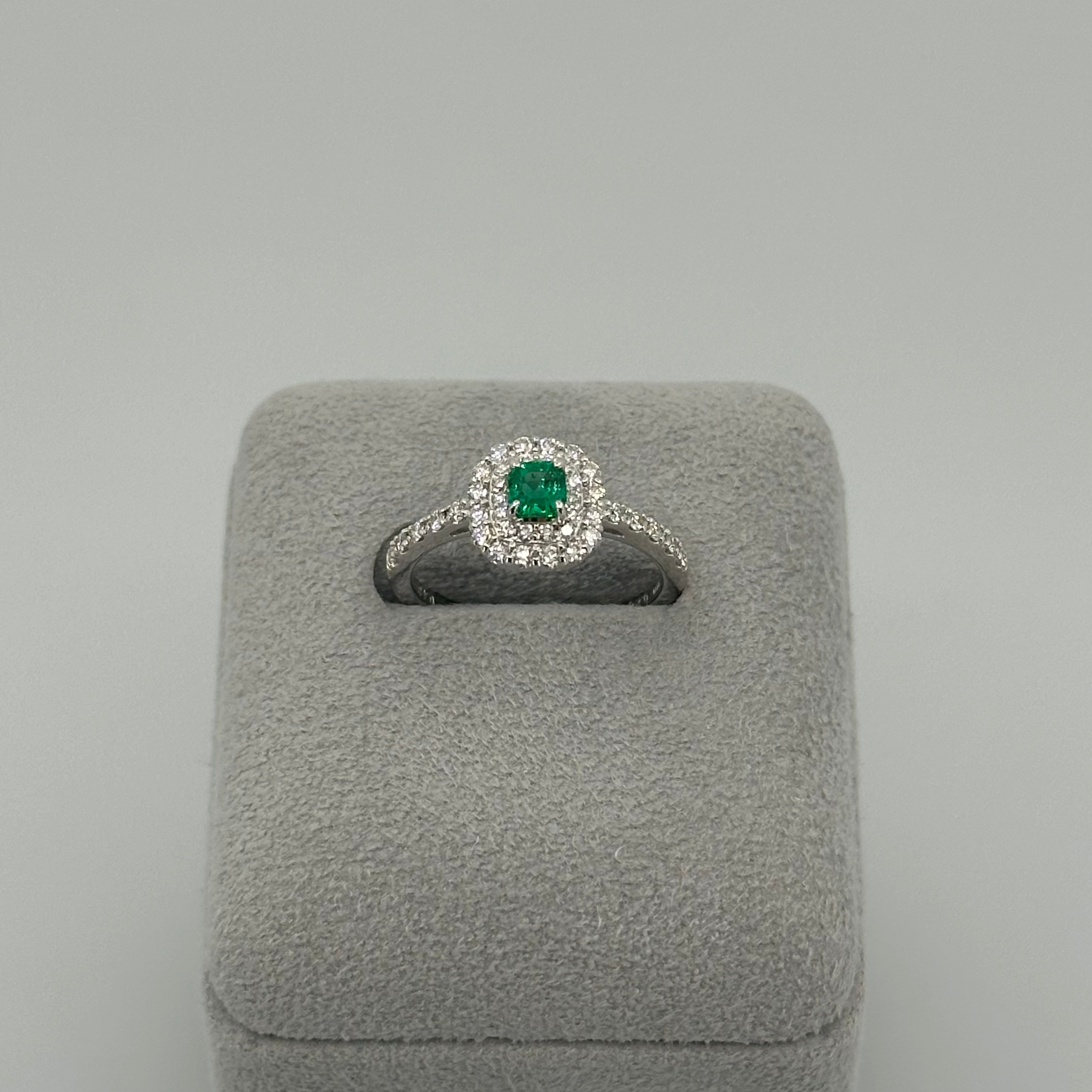 ［新作/1点限定］リング　エメラルド EM PT　11