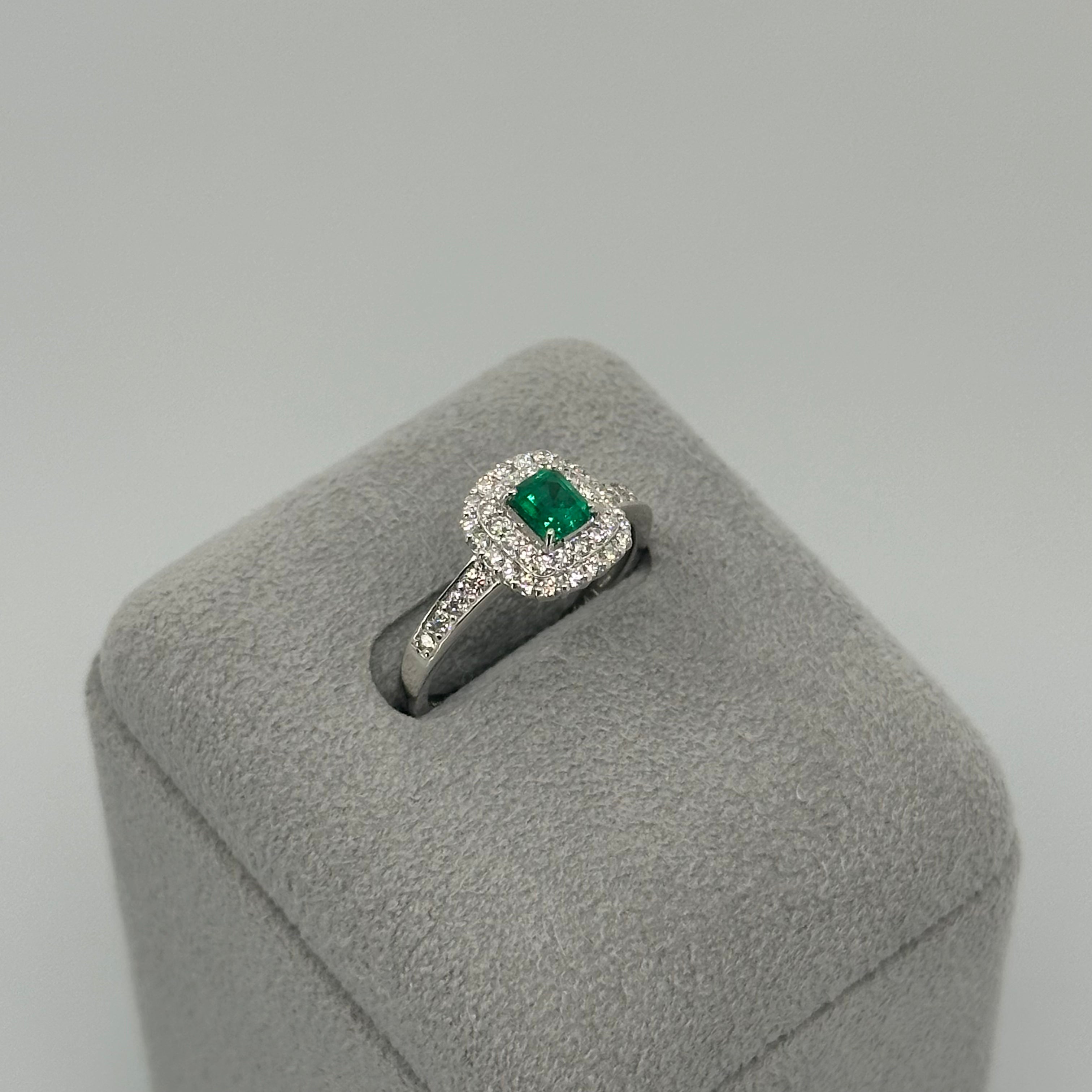 ［新作/1点限定］リング　エメラルド EM PT　5