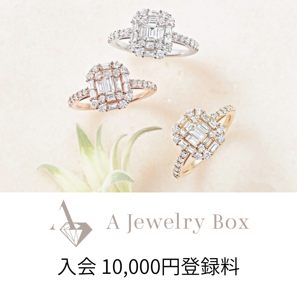 A Jewelry Box入会 10,000円登録料