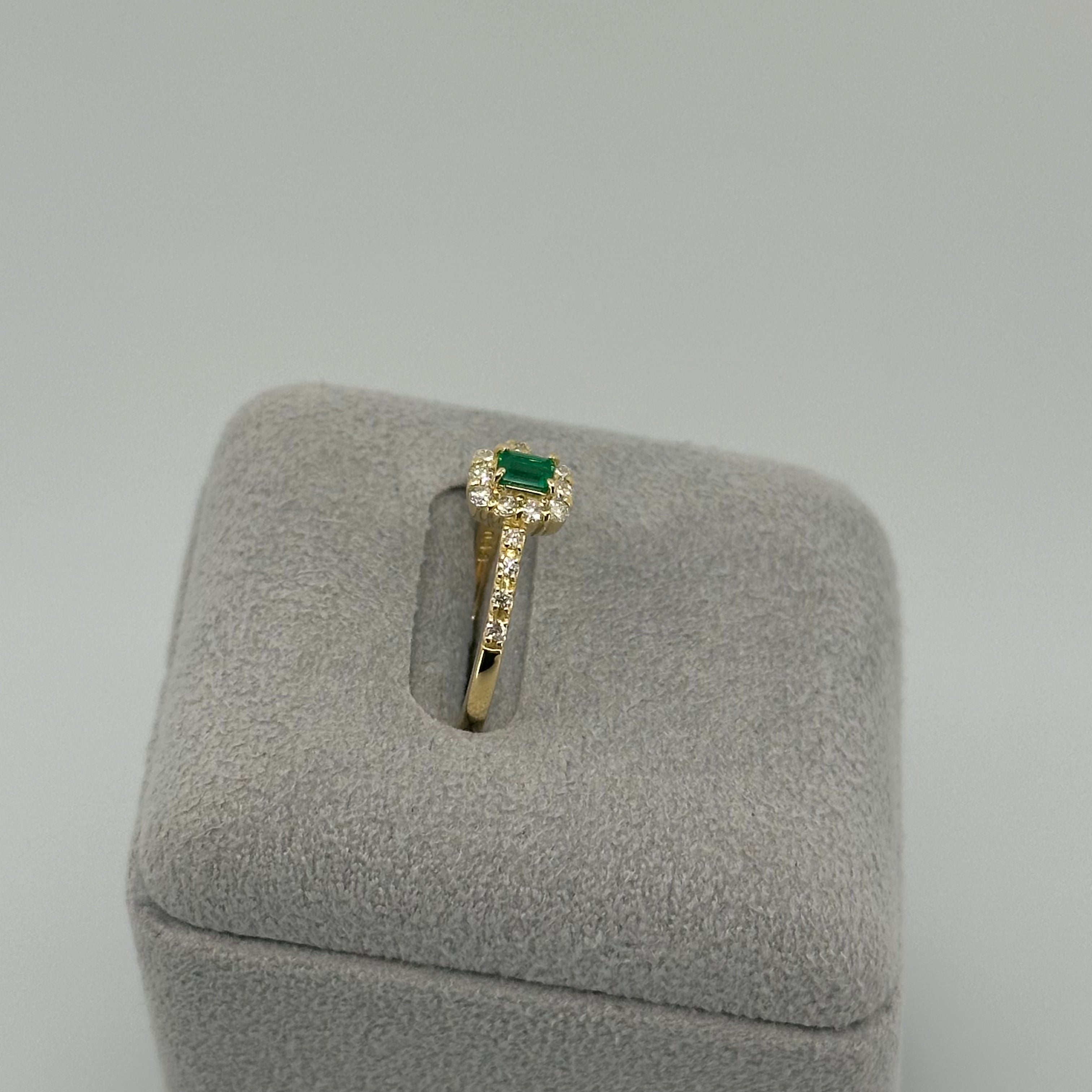 ［新作/2点限定］リング　エメラルド EM  YG　3