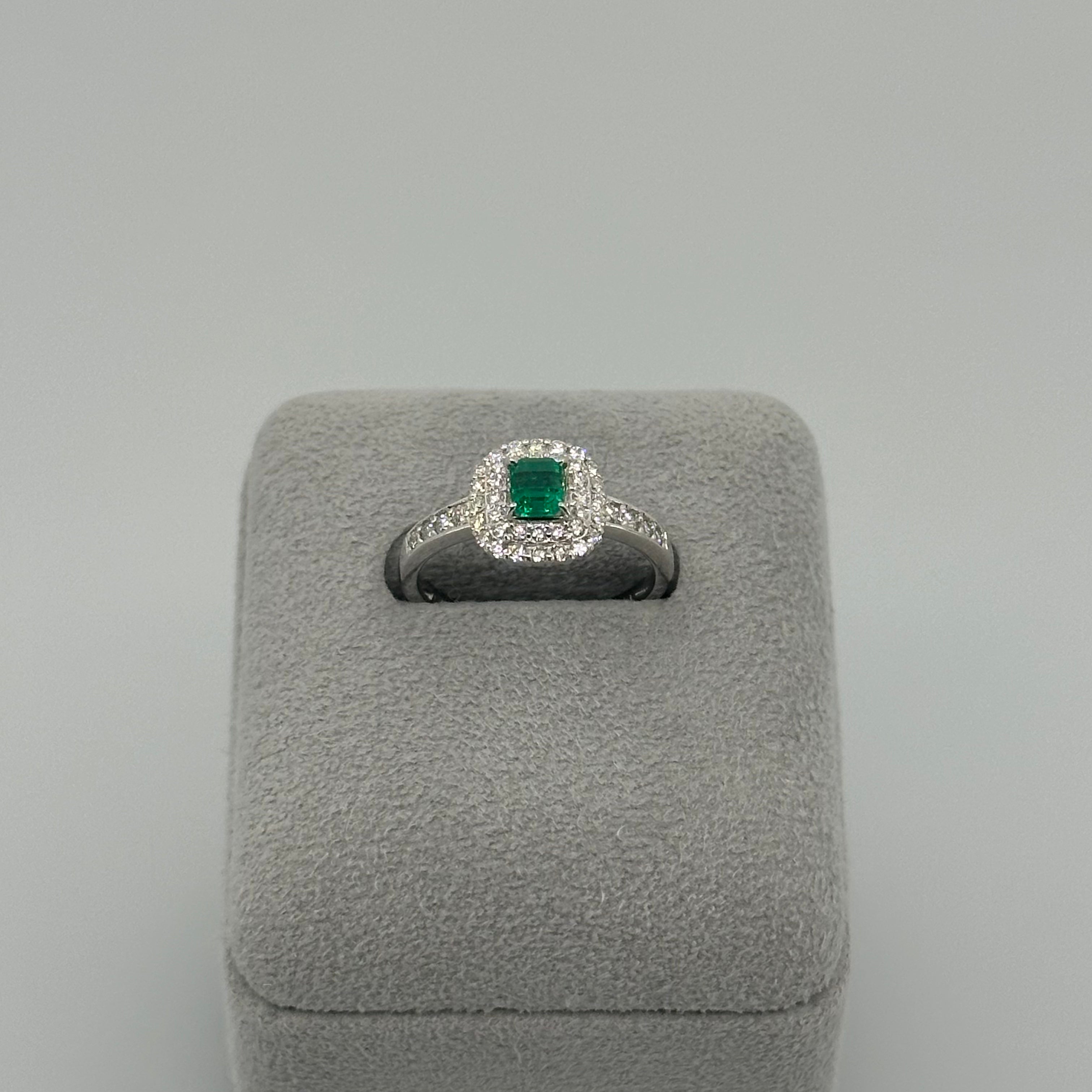 ［新作/1点限定］リング　エメラルド EM PT　5