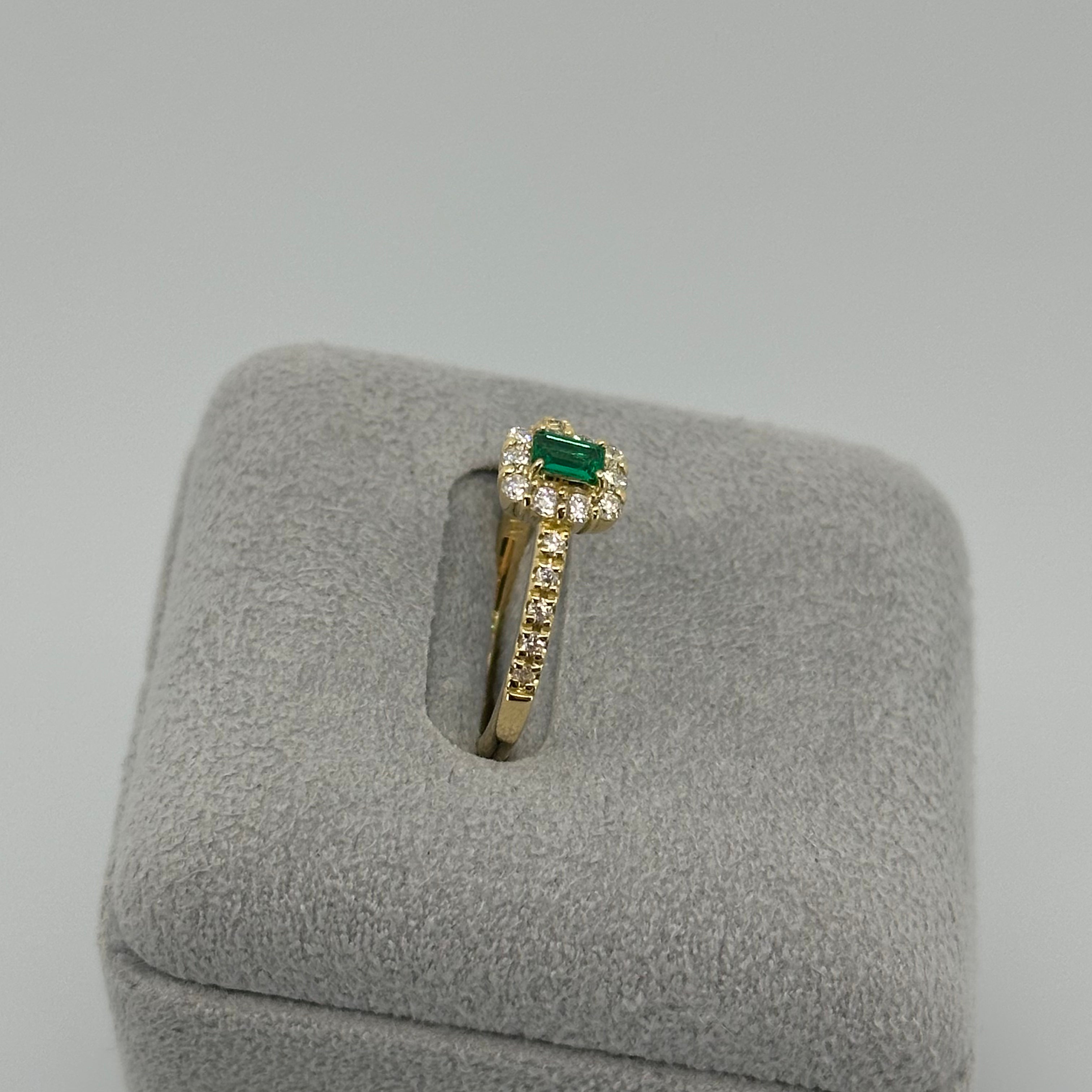 ［新作/2点限定］リング　エメラルド EM  YG　3