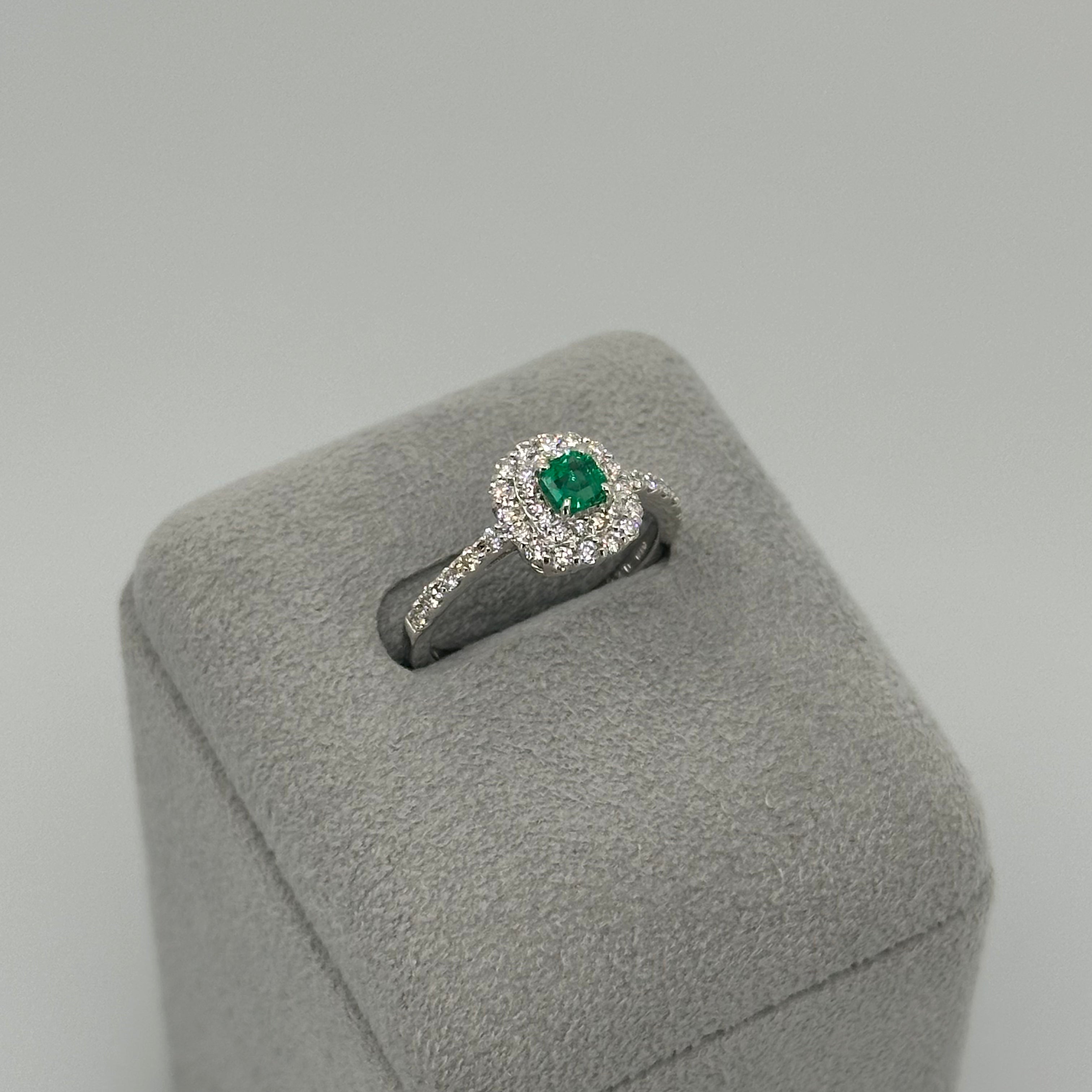 ［新作/1点限定］リング　エメラルド EM PT　11