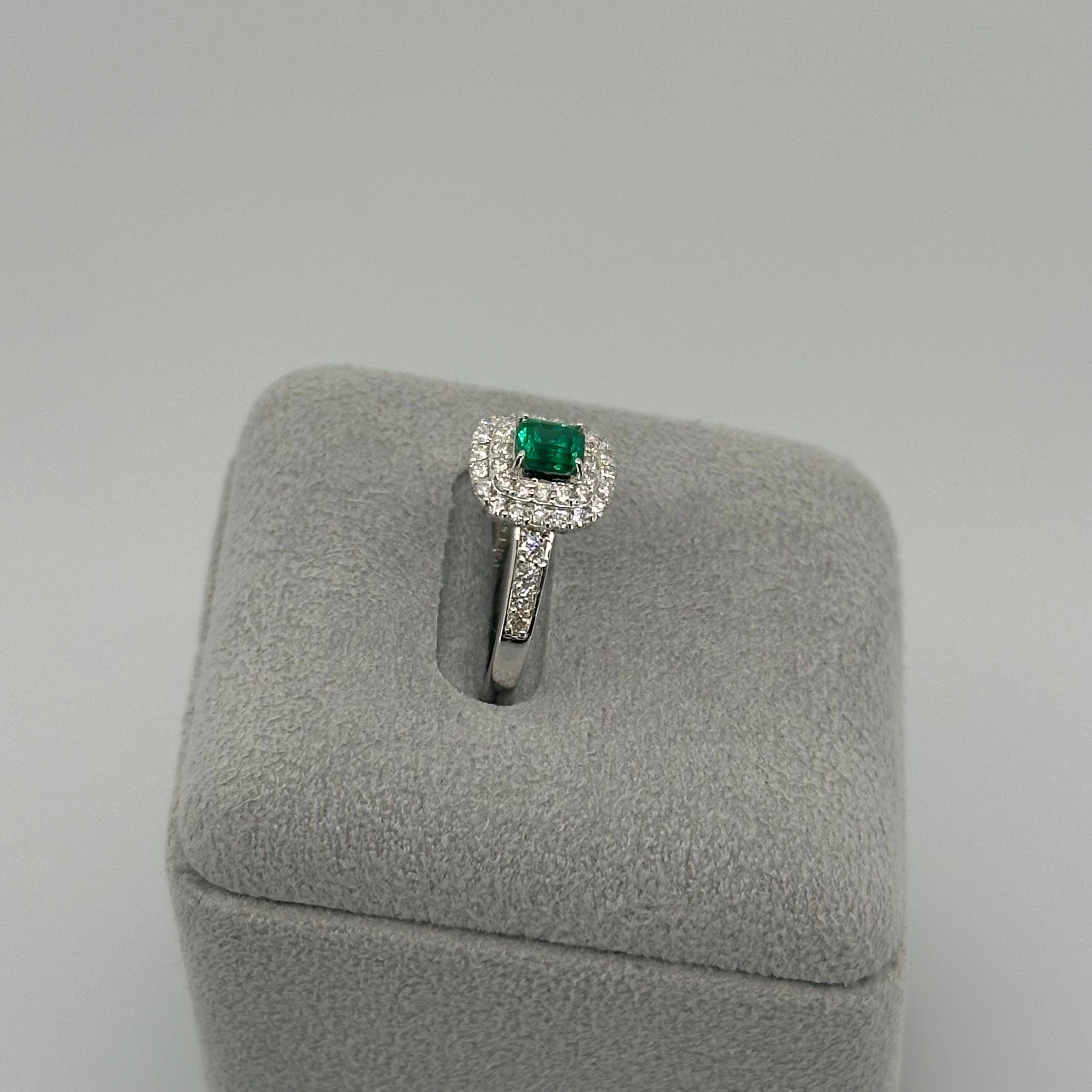 ［新作/1点限定］リング　エメラルド EM PT　5